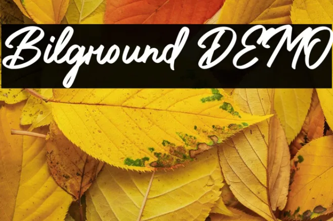 Bilground DEMO Example 1