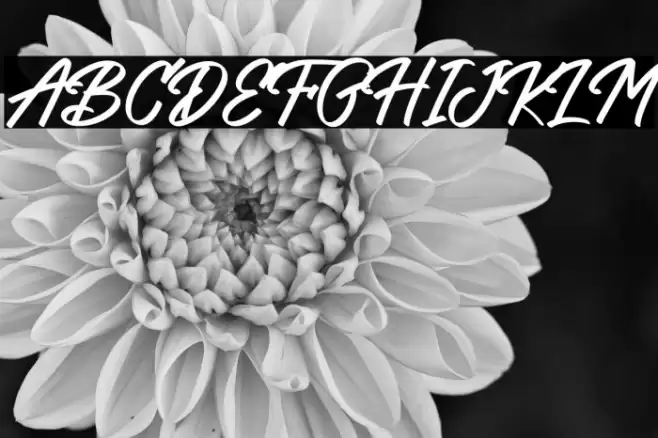 Bilground Fonte examples