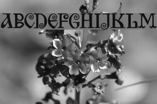 Bilibin Font examples