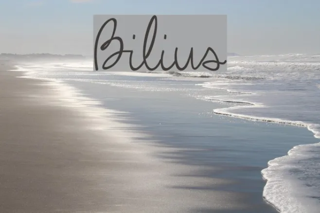 Bilius Example 1