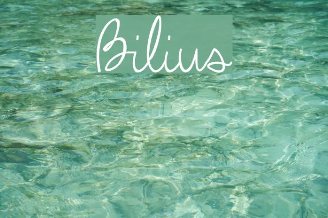 Bilius Example 2