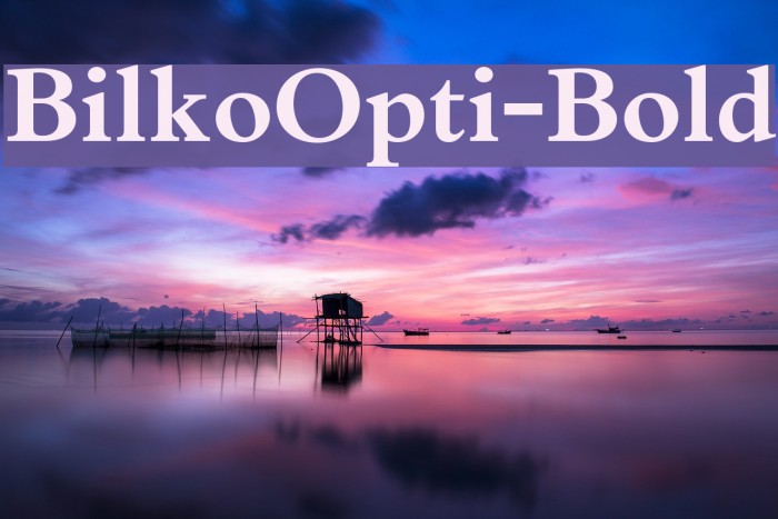 BilkoOpti-Bold Font examples