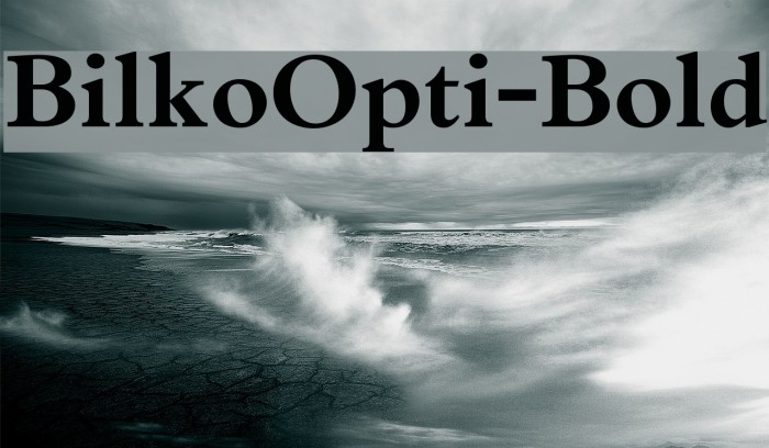 BilkoOpti-Bold Font examples