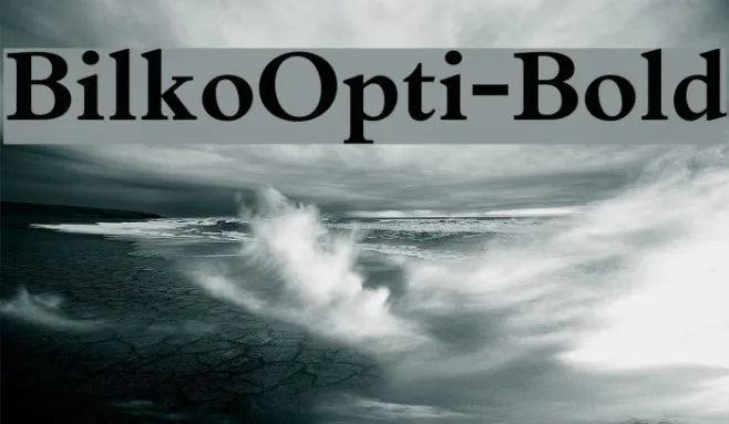 BilkoOpti-Bold Example 2