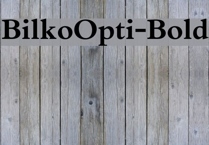 BilkoOpti-Bold Font examples