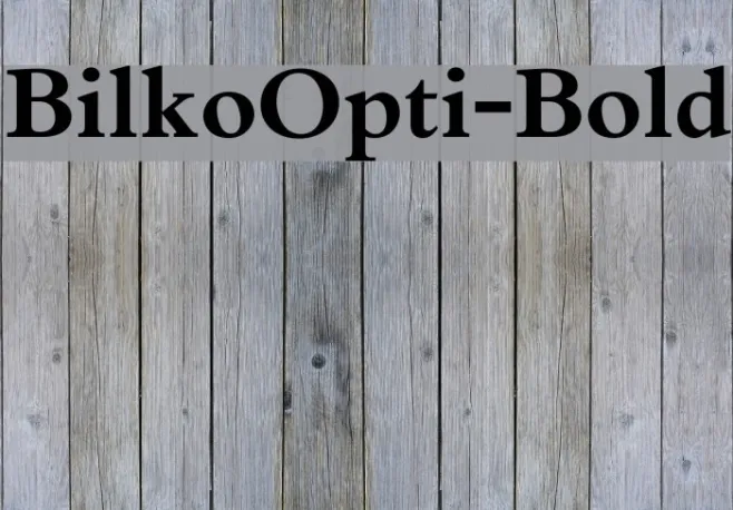 BilkoOpti-Bold Example 3