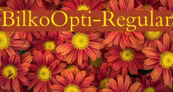 BilkoOpti-Regular Font examples