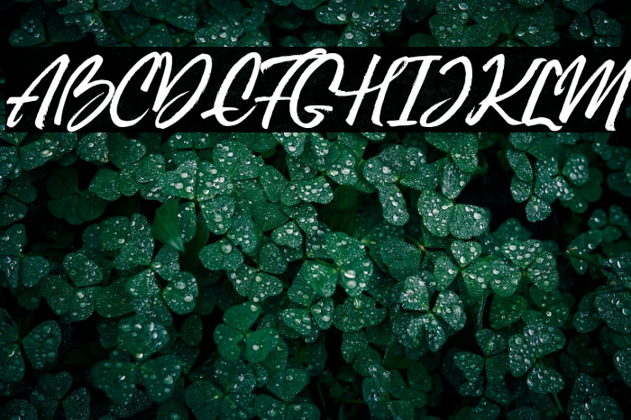 Bill Smith Example 3