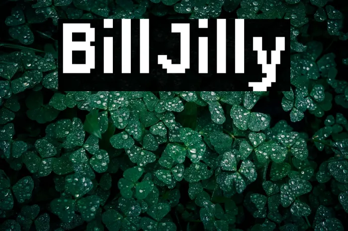 BillJilly Example 1