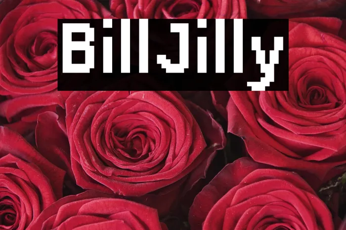BillJilly Example 3