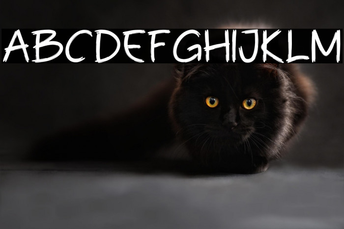 Billa Brush Example 1