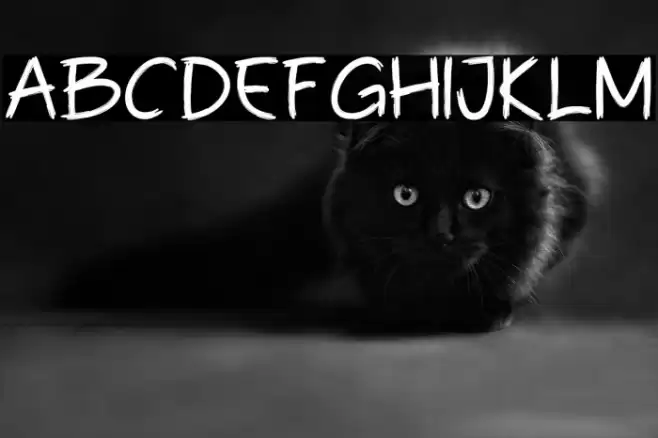 Billa Brush Font examples