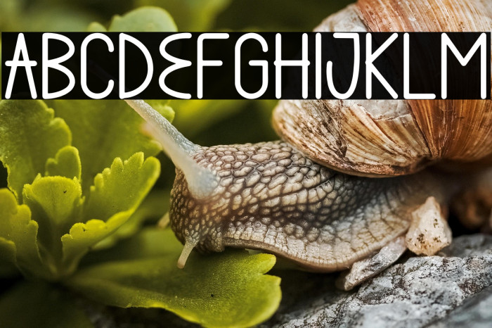 Billa Summer Example 1