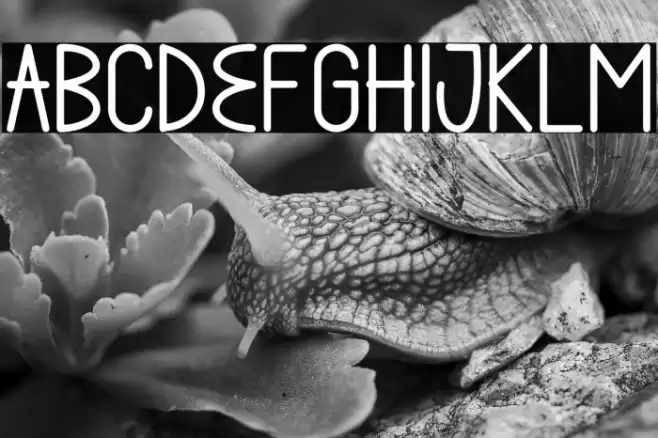 Billa Summer Font examples