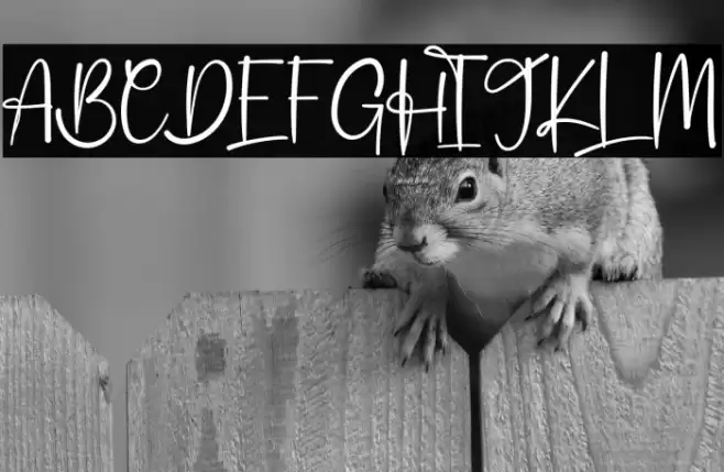 Billabong フォント examples