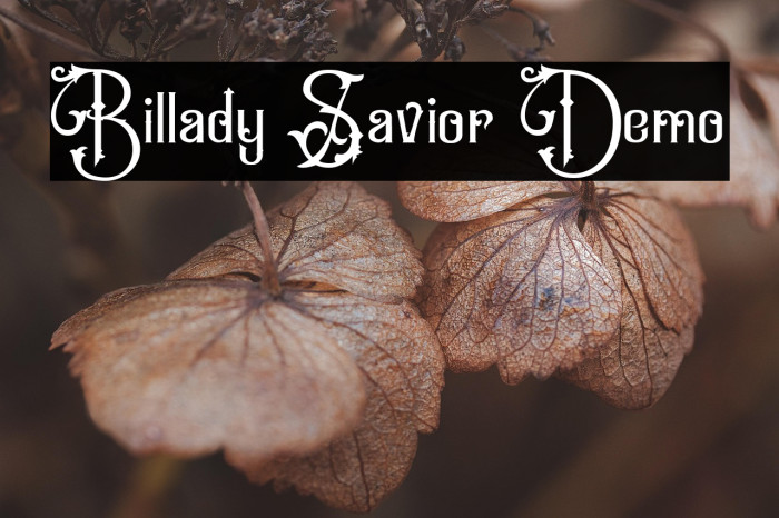 Billady Savior Demo Example 1