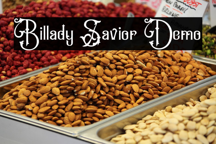 Billady Savior Demo Example 2