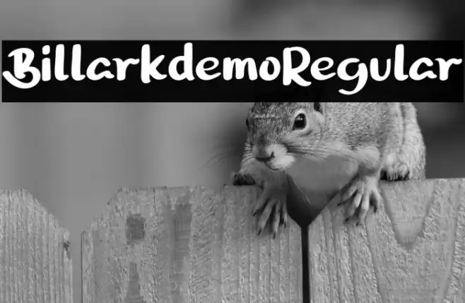 BillarkdemoRegular Font examples