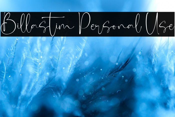 Billastim Personal Use Example 1
