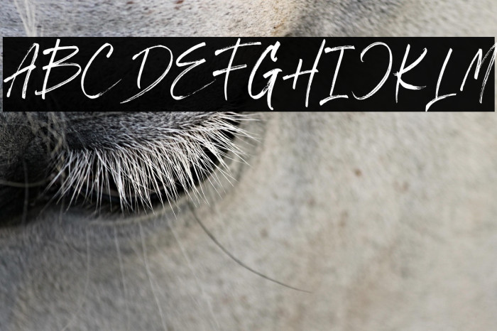 Billbest Demo Example 2