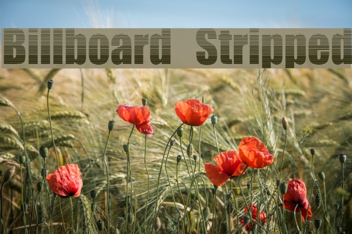 Billboard Stripped Font examples