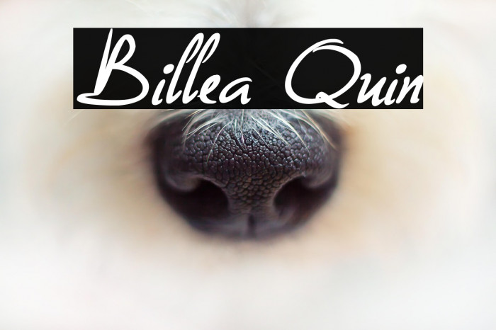 Billea Quin Example 2