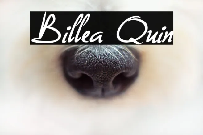 Billea Quin Example 2