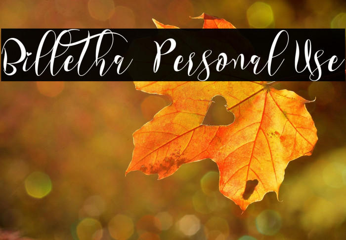 Billetha - Personal Use Example 3