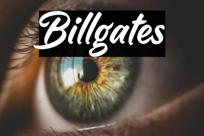 Billgates Example 1