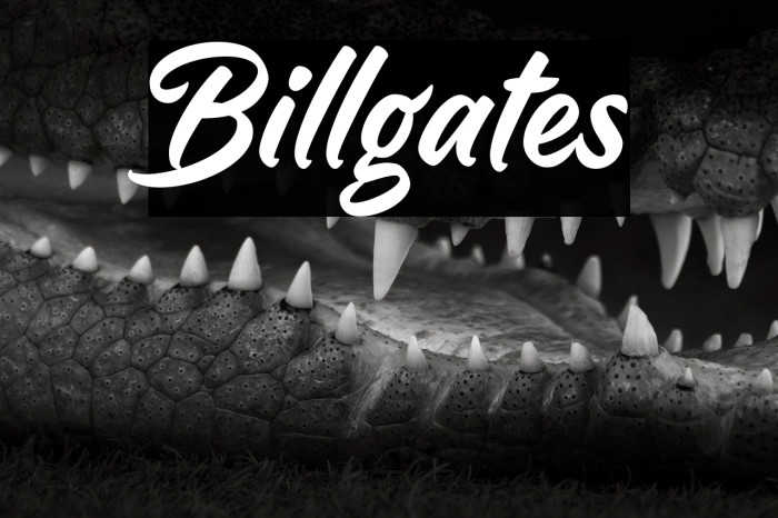 Billgates Example 3