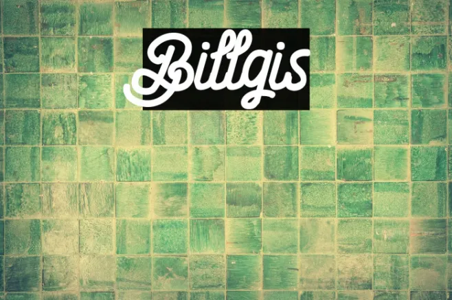 Billgis Example 2