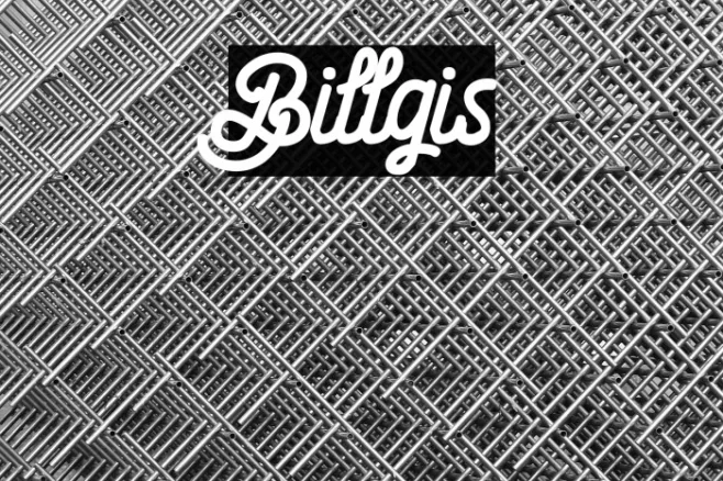 Billgis Example 3