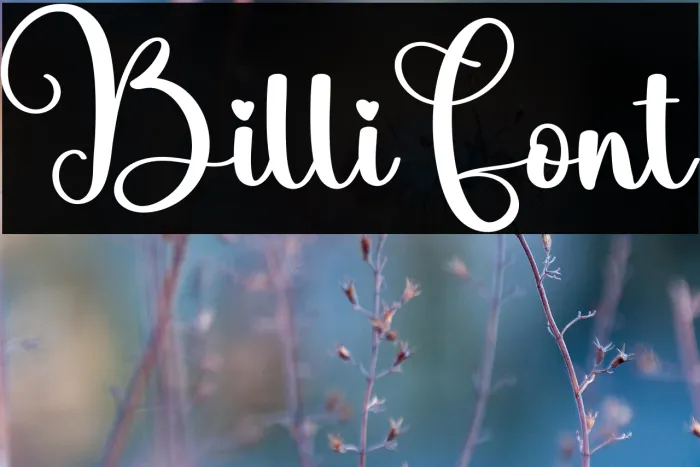Billi Example 1