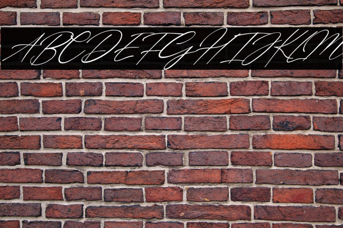 Billie Bonnie Italic Example 1