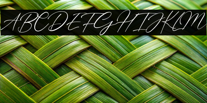 Billie Bonnie Example 1