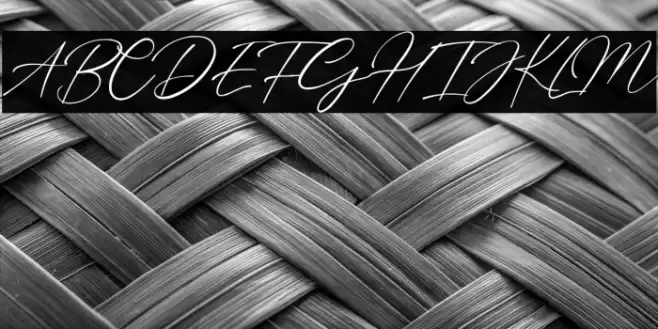 Billie Bonnie Font examples