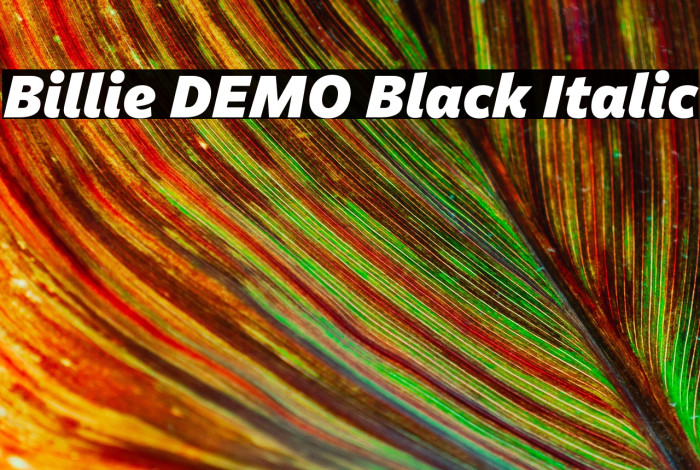 Billie DEMO Black Italic Example 3