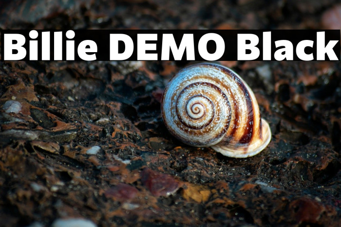 Billie DEMO Black Example 1