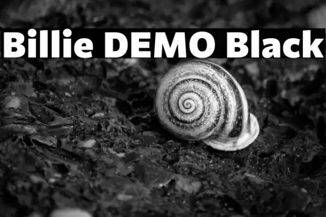 Billie DEMO Black Font examples
