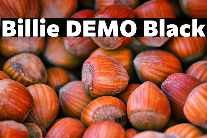 Billie DEMO Black Example 2