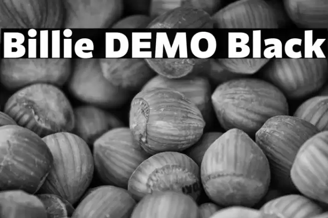 Billie DEMO Black Font examples