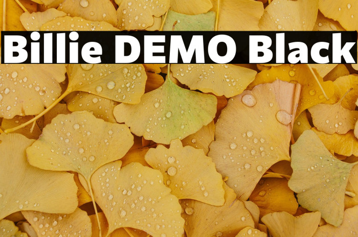 Billie DEMO Black Example 3