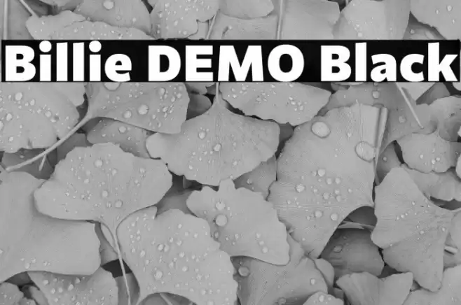 Billie DEMO Black Font examples