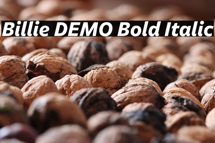 Billie DEMO Bold Italic Example 1