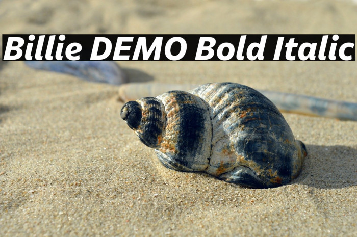 Billie DEMO Bold Italic Example 2
