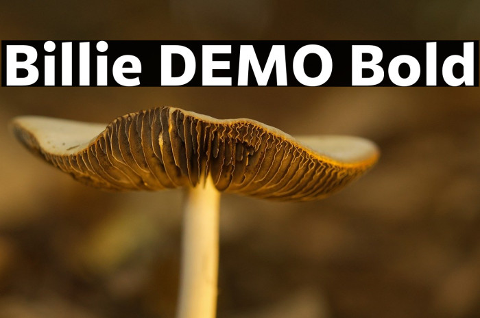 Billie DEMO Bold Example 3