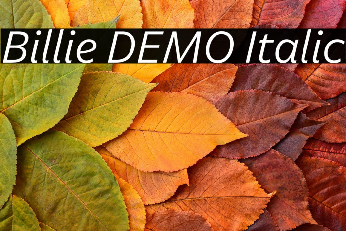 Billie DEMO Italic Example 1