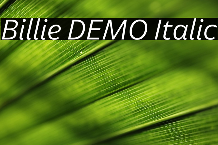 Billie DEMO Italic Example 2