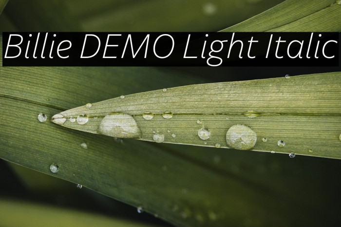 Billie DEMO Light Italic Example 1