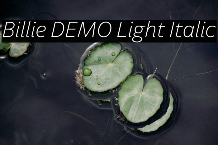 Billie DEMO Light Italic Example 2